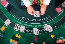 Akses Togel tunaitoto dari aplikasi Android atau browser iOS di ponsel Anda